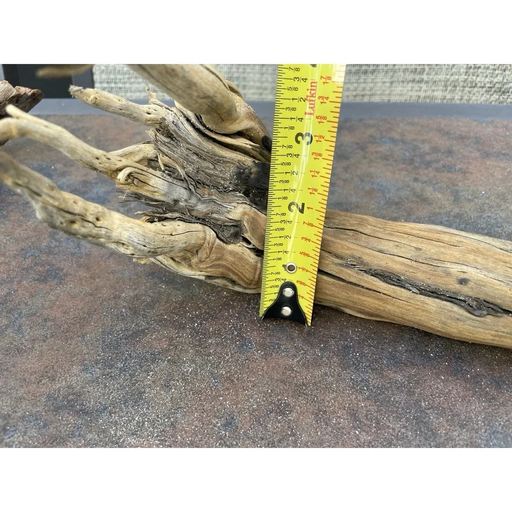 Natural Driftwood for Plants Terrarium Taxidermy Art Projects